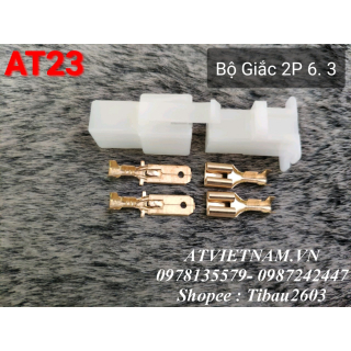 Bộ Giắc Nhựa 2 Lỗ 2P - 6.3 có lưỡi - AT23 ( 1 bịch/10 bộ)