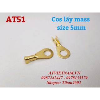 Coss Lấy Mass Sườn Xe 5mm (1 Bịch 50 Cái )